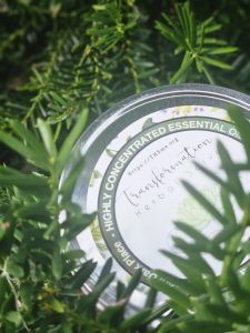 Transformation Herbal Salve-8oz